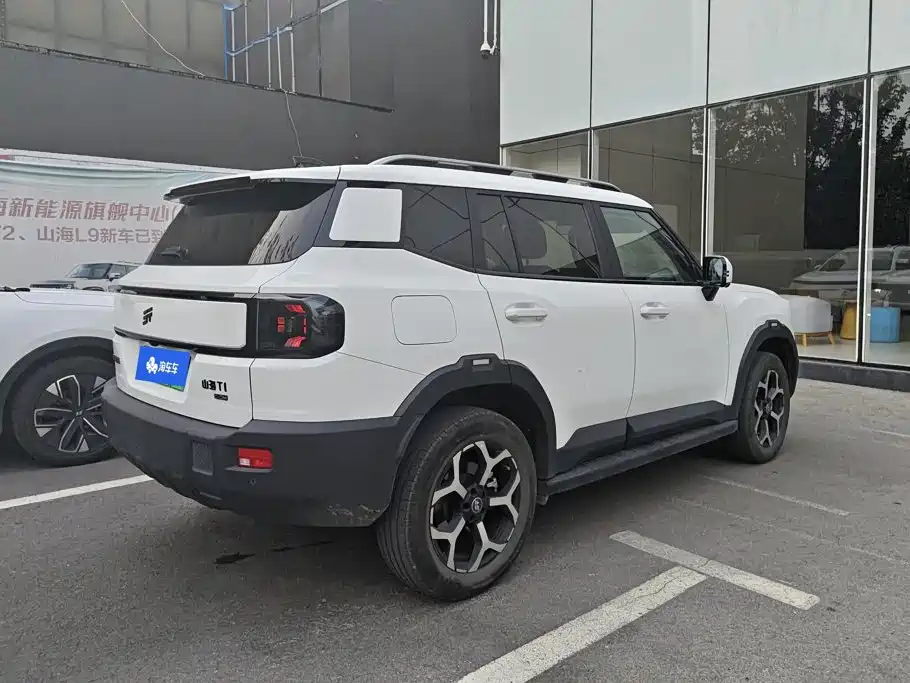 Shanhai Shanhai T1 — миниатюра 3
