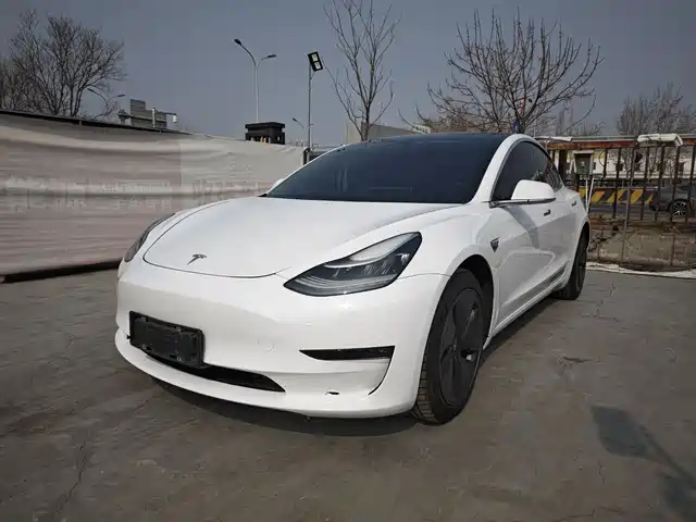 TESLA MODEL 3 2019