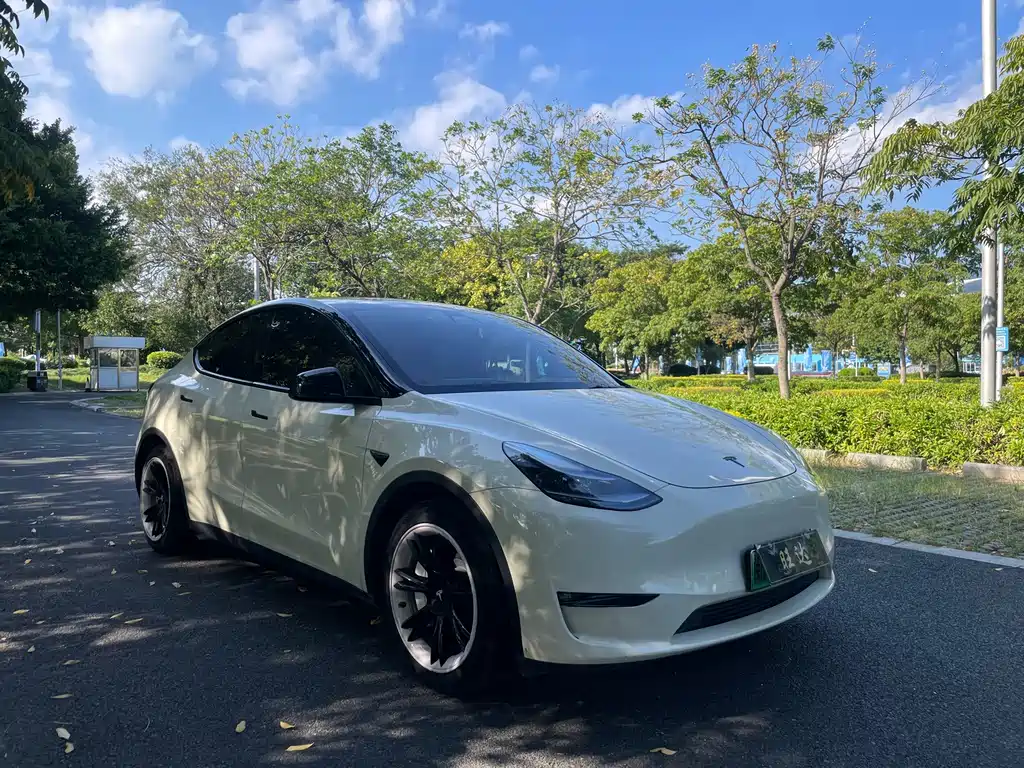 Tesla Model Y — миниатюра 2
