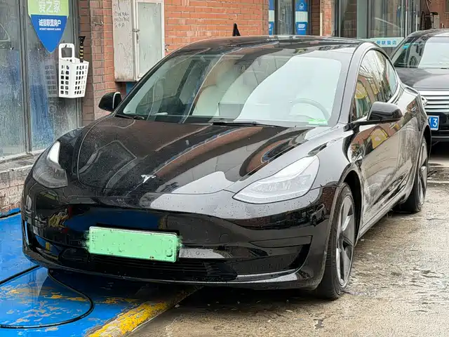 TESLA MODEL 3 2021