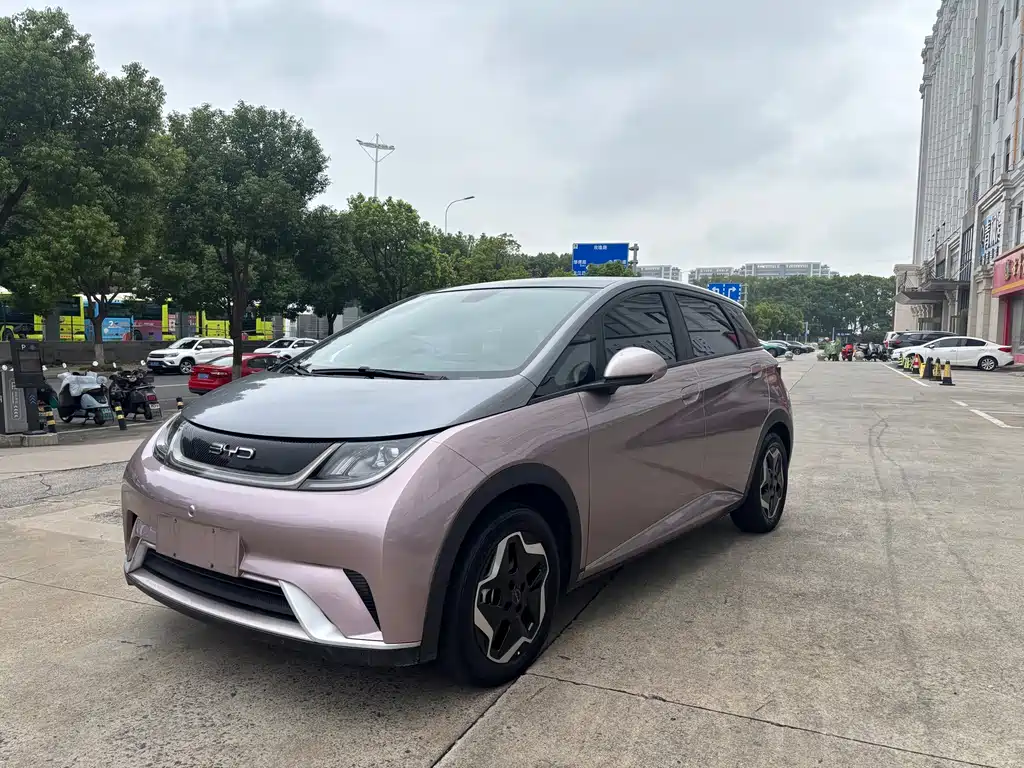 BYD Dolphin