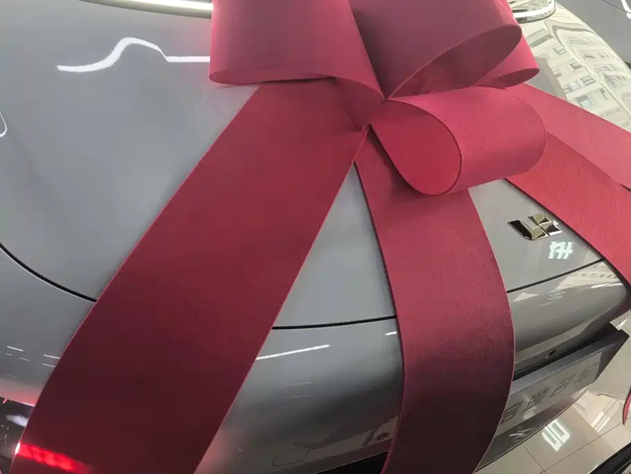 Li Auto Li i6 — миниатюра 10