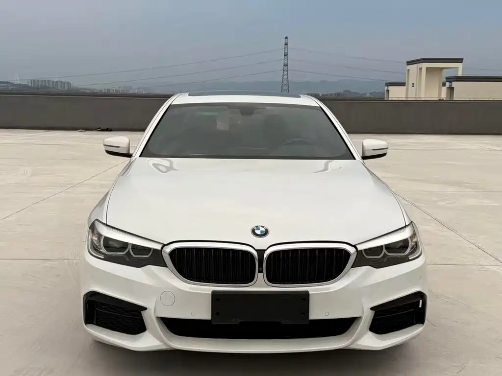 BMW 5 Series — миниатюра 2