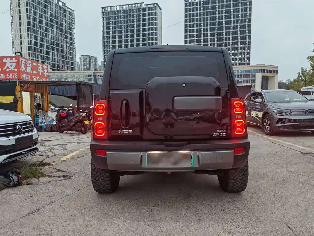 Haval Menglong New Energy — миниатюра 8