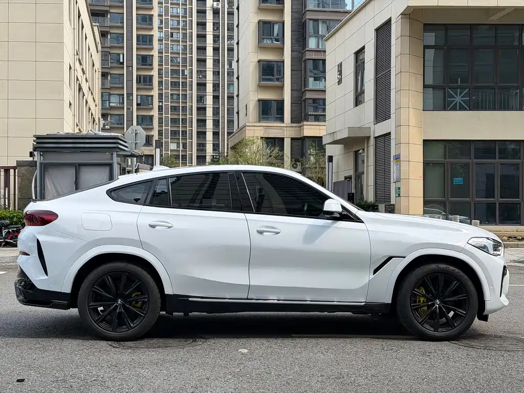 BMW X6 — миниатюра 20