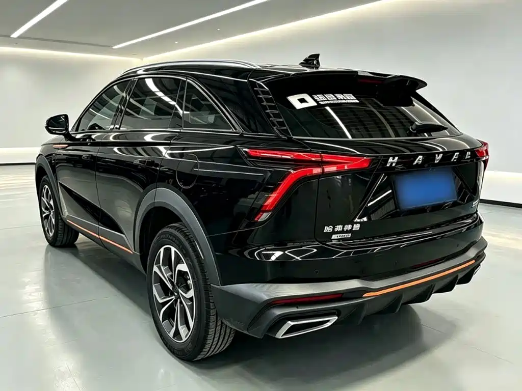 Haval Shenshou — миниатюра 11