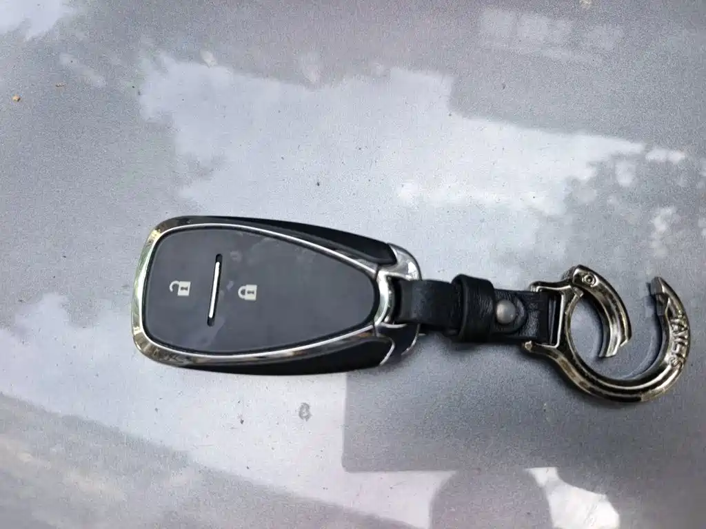Chevrolet Volando — миниатюра 12