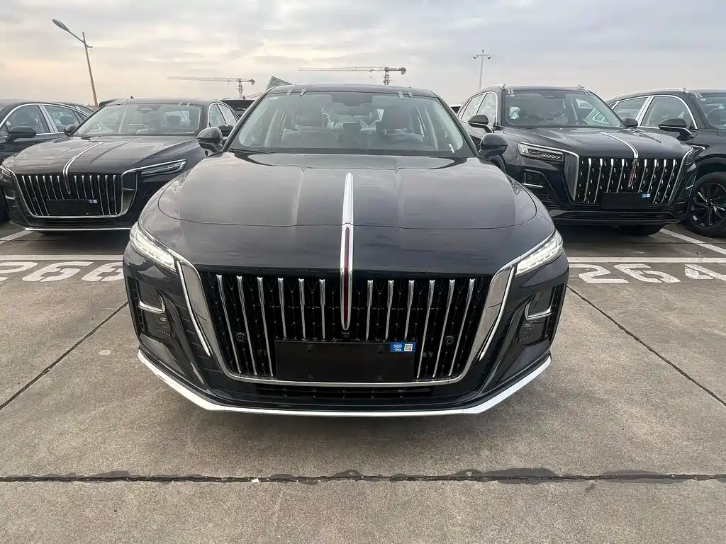 Hongqi Hongqi H5 0