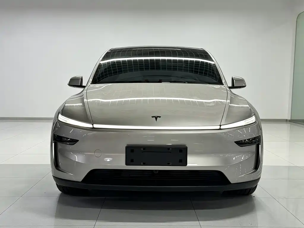 Tesla Model Y L — миниатюра 2