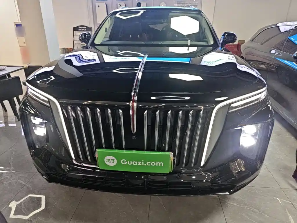 Hongqi Hongqi E-HS9 — миниатюра 3