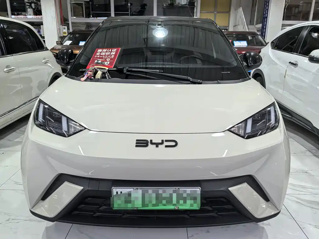 BYD Seagull — миниатюра 2