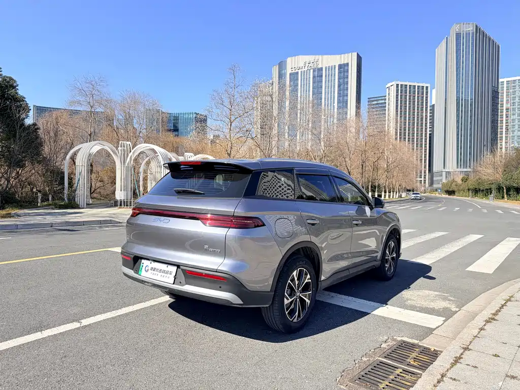 BYD SONGJIANG NEW ENERGY