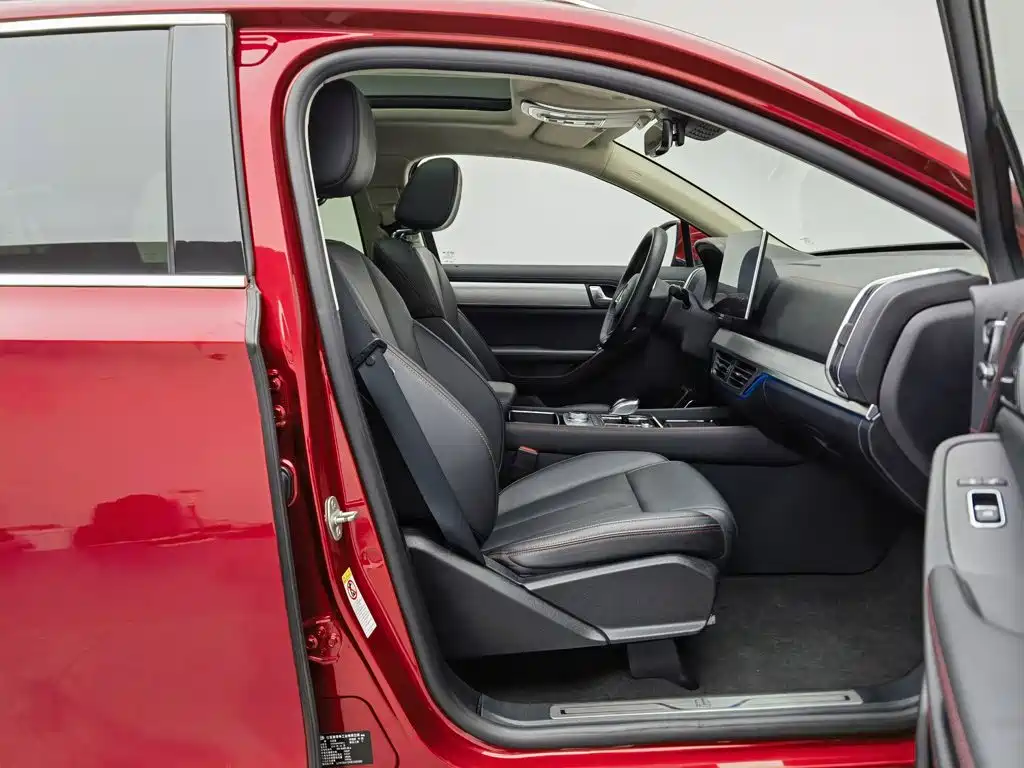 BYD Tang New Energy — миниатюра 23