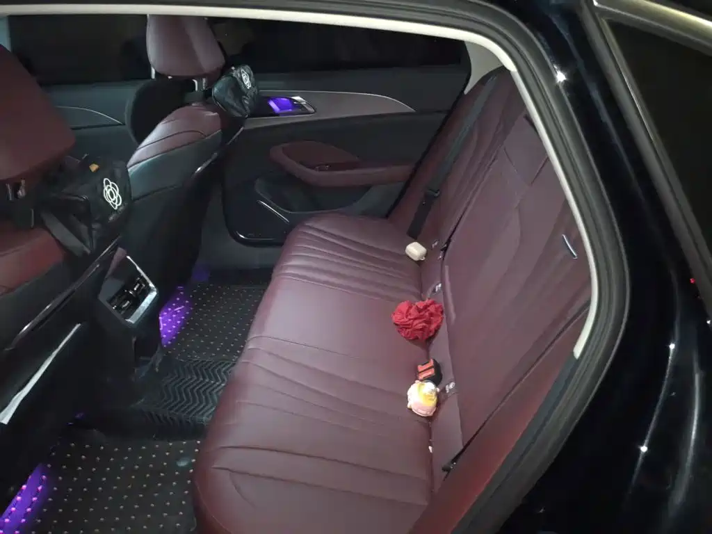Hongqi Hongqi H5 — миниатюра 15