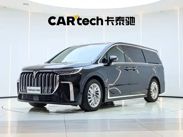 2024 Voyah Dream