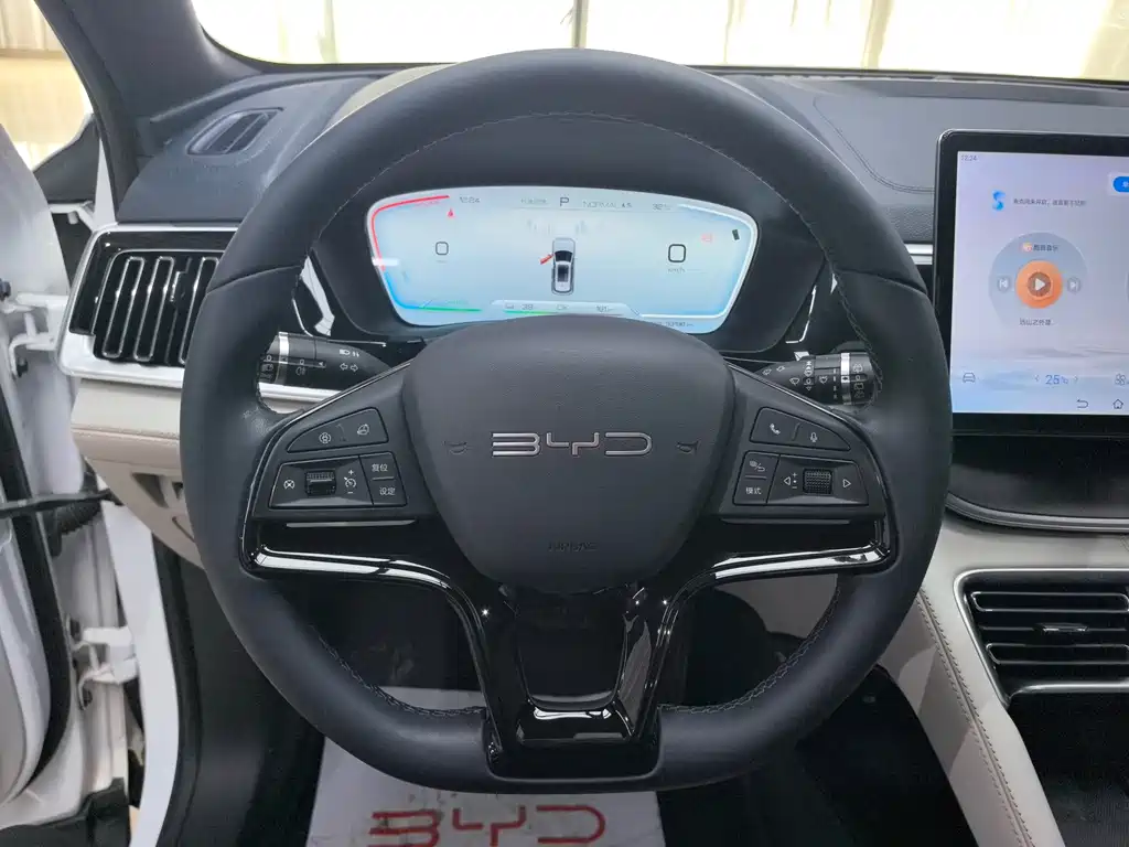 BYD PLUS New Energy — миниатюра 16