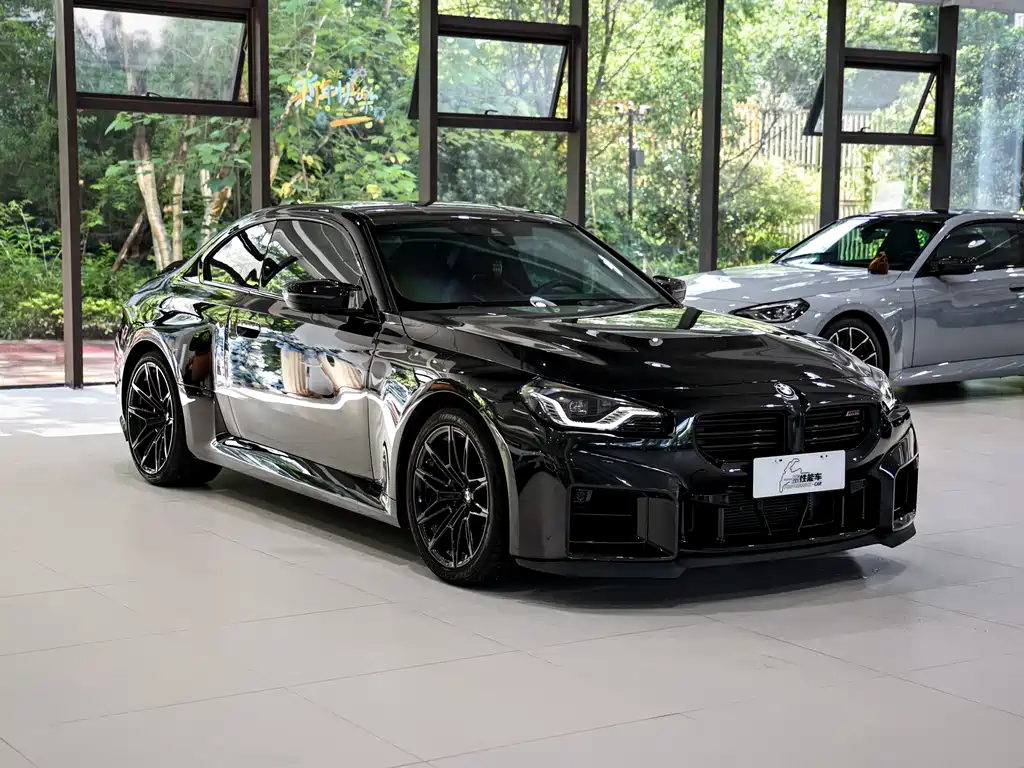 BMW M2 — миниатюра 3