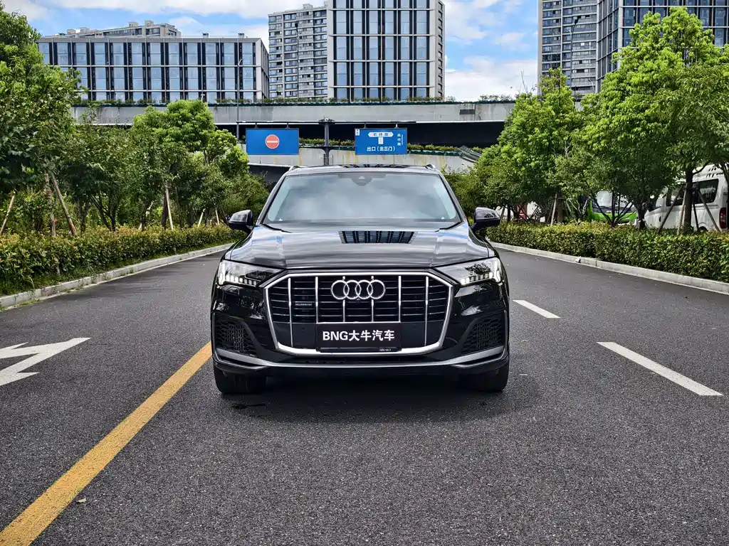 Audi Q7 — миниатюра 2
