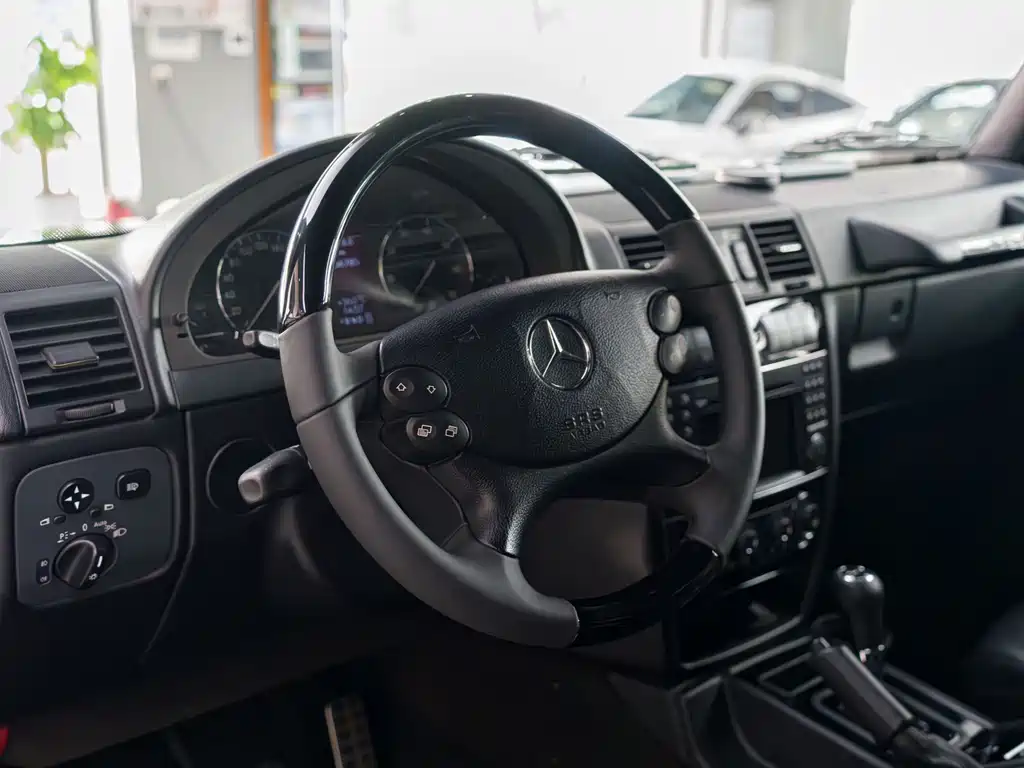 Mercedes-Benz G-Class G 2010 G 500