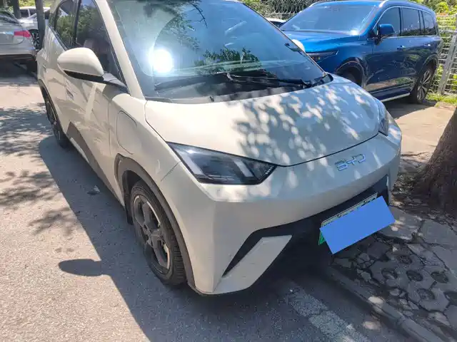 2024 BYD Seagull