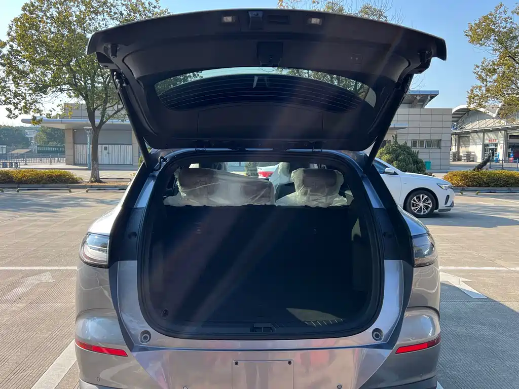 BYD SEA LION 06 NEW ENERGY