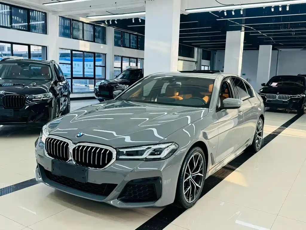 BMW 5 Series (Import) 2021