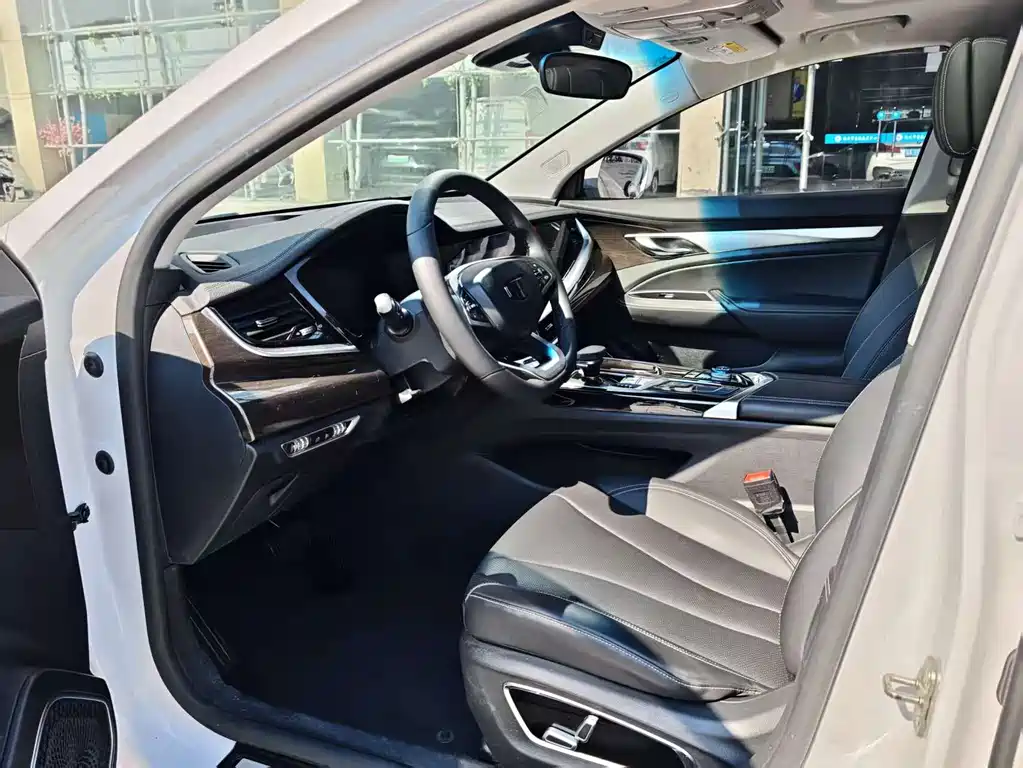 GEELY AUTOMOBILE BORUI