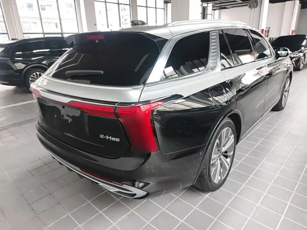 Hongqi Hongqi E-HS9 — миниатюра 7