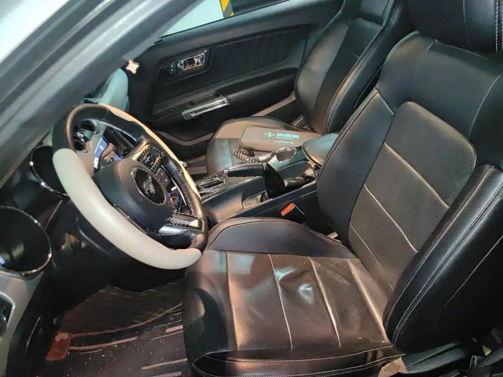Ford Mustang — миниатюра 16