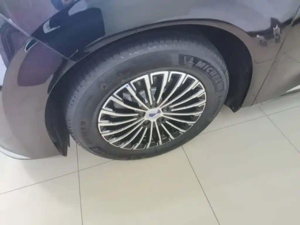 Denza Denza D9 — миниатюра 23