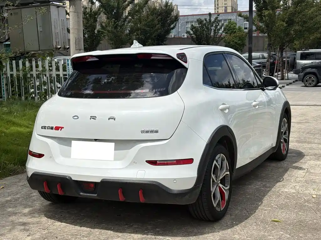 Ora Ora Good Cat GT — миниатюра 12