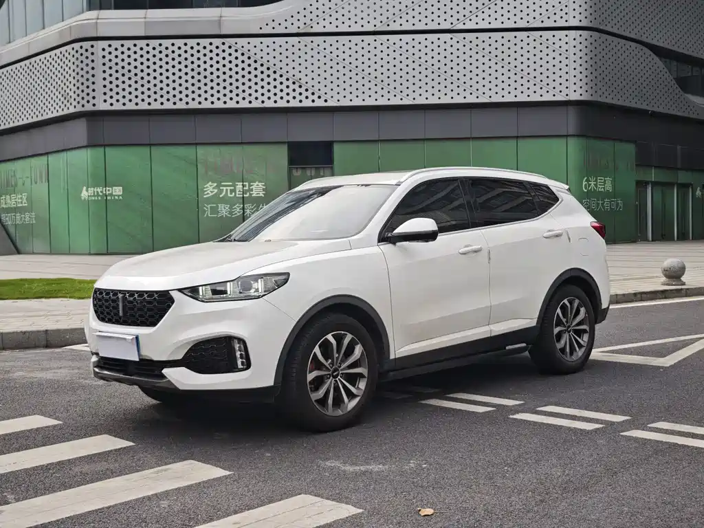 Wey Wey VV6 2019