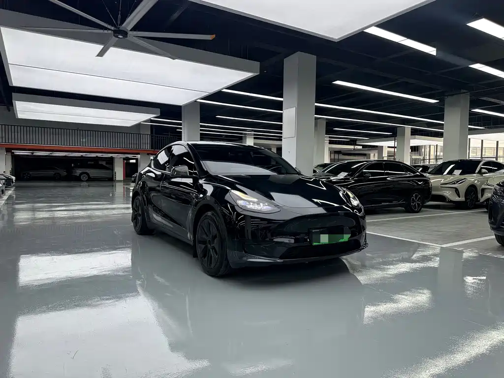 Tesla Model Y — миниатюра 3
