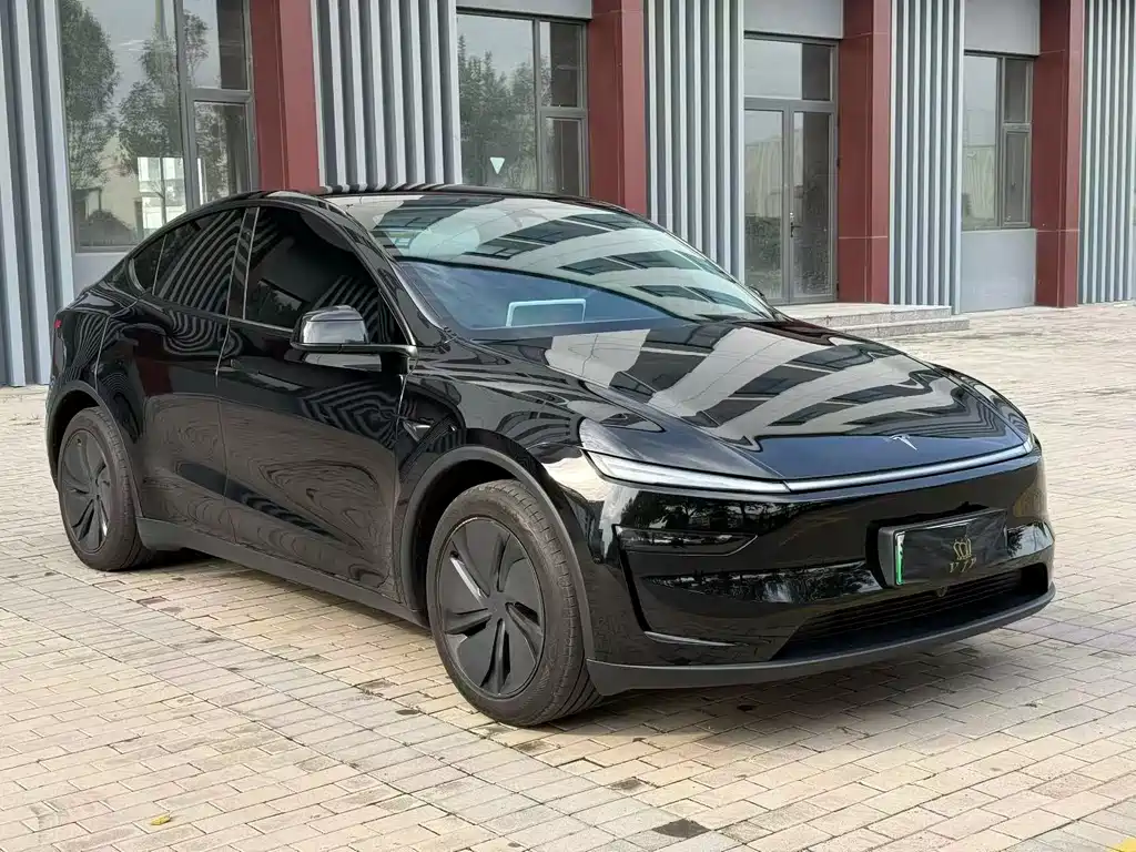 Tesla Model Y — миниатюра 2