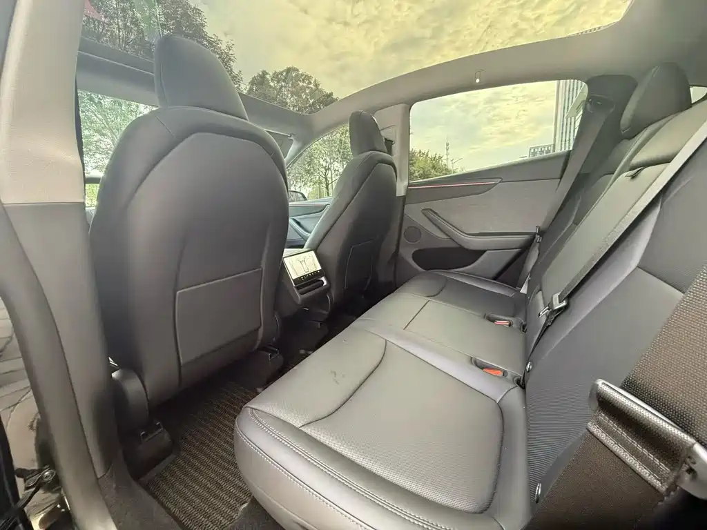 Tesla Model Y — миниатюра 8