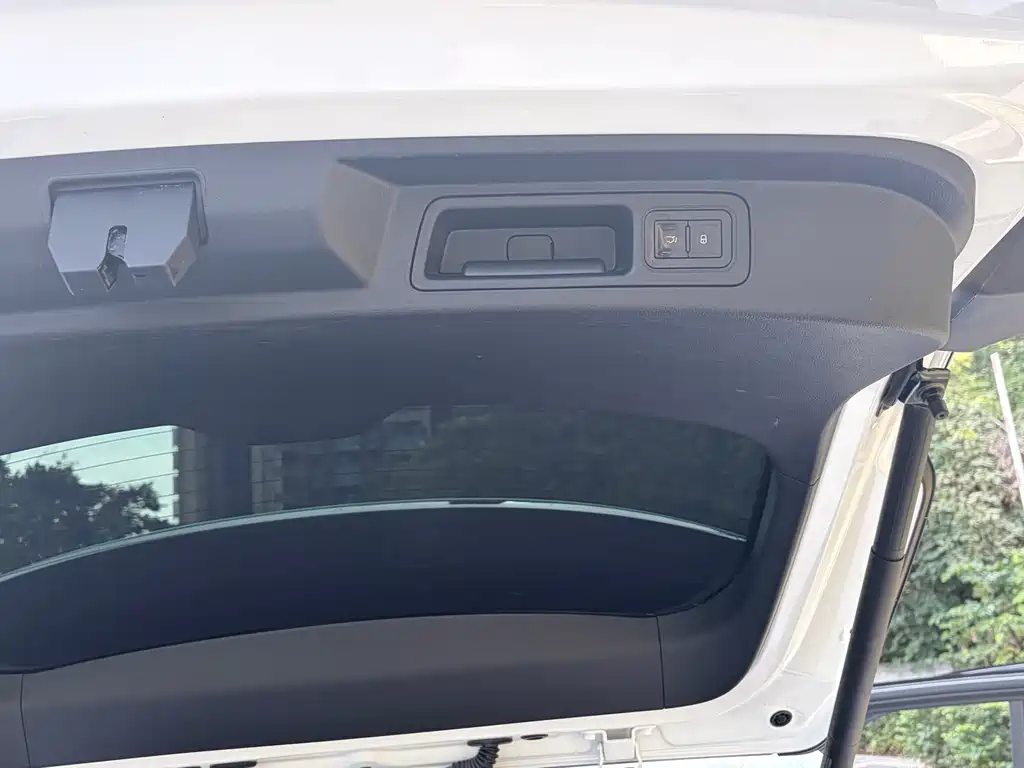 BYD SONGJIANG NEW ENERGY