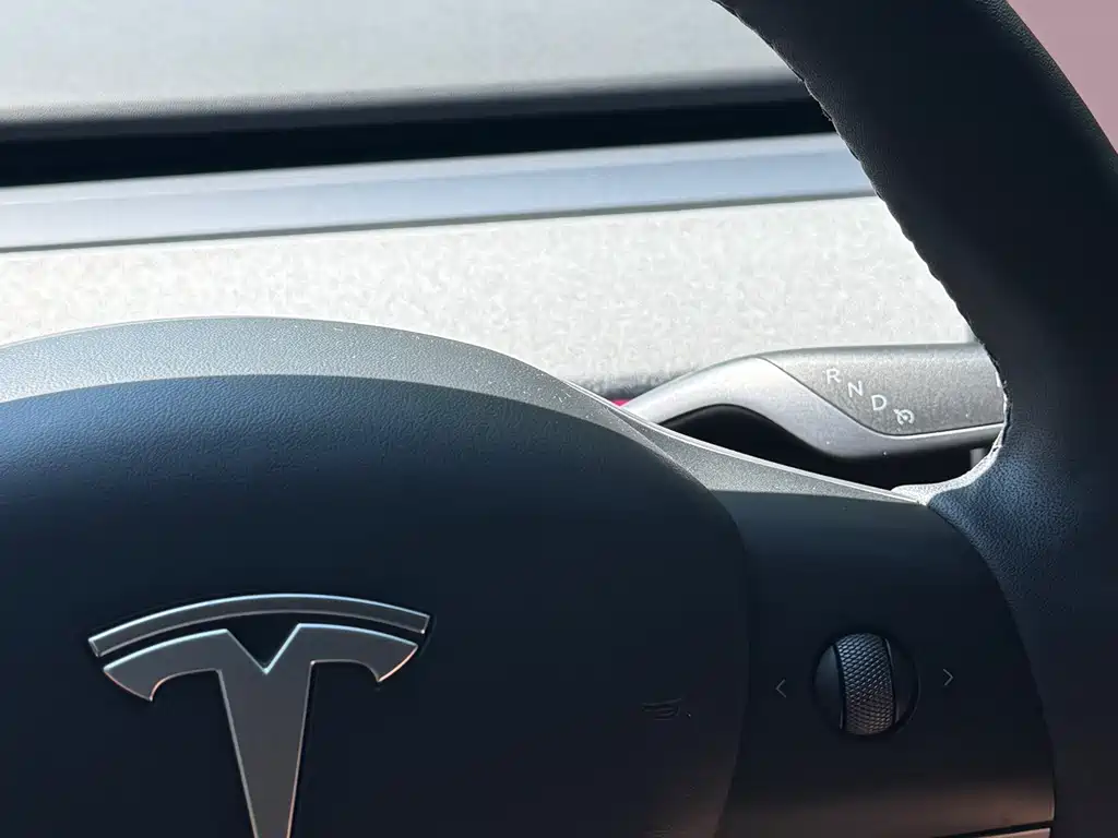 Tesla Model Y — миниатюра 27