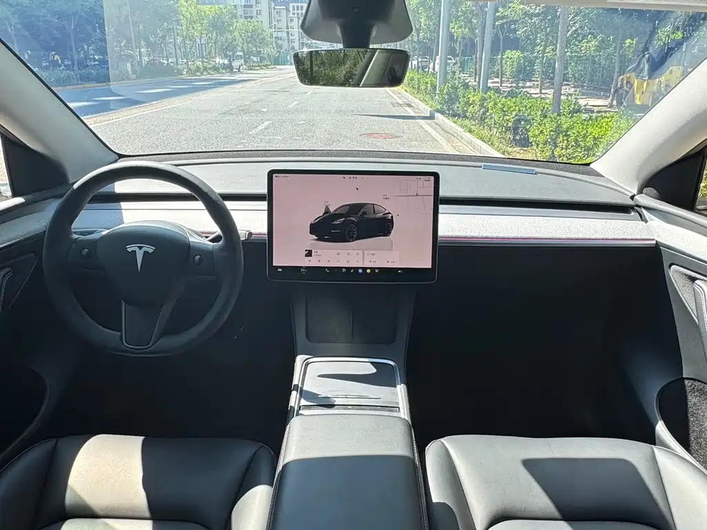 Tesla Model Y — миниатюра 23