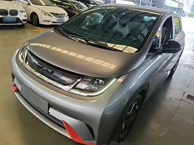 2022 BYD Dolphin