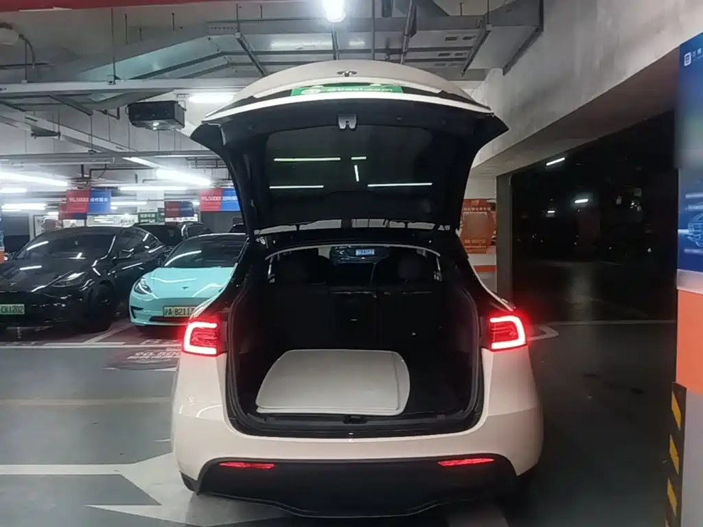 Tesla Model Y — миниатюра 19