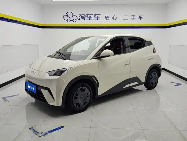 2024 BYD Seagull