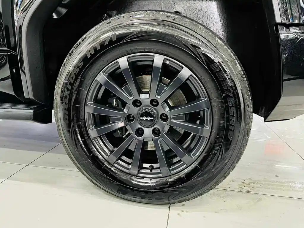 FANG CHENG BAO LEOPARD 5