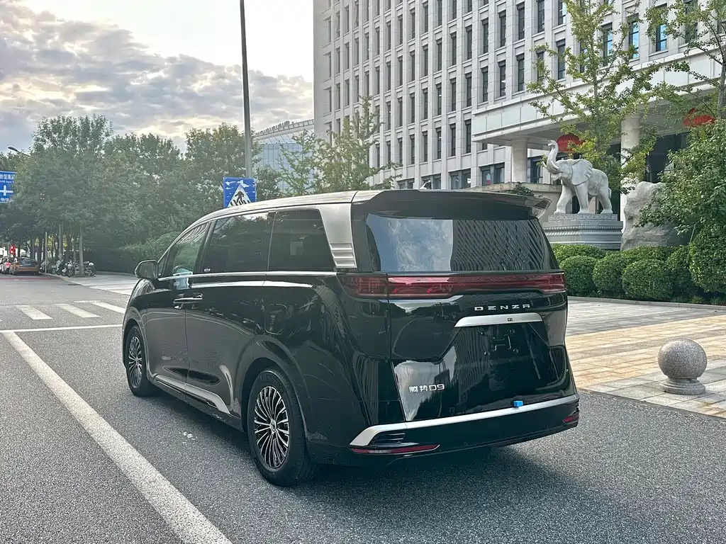 Denza Denza D9 — миниатюра 5
