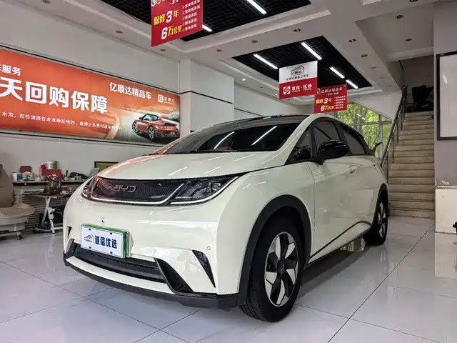 BYD Dolphin