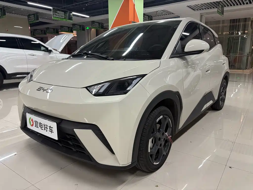 BYD Seagull