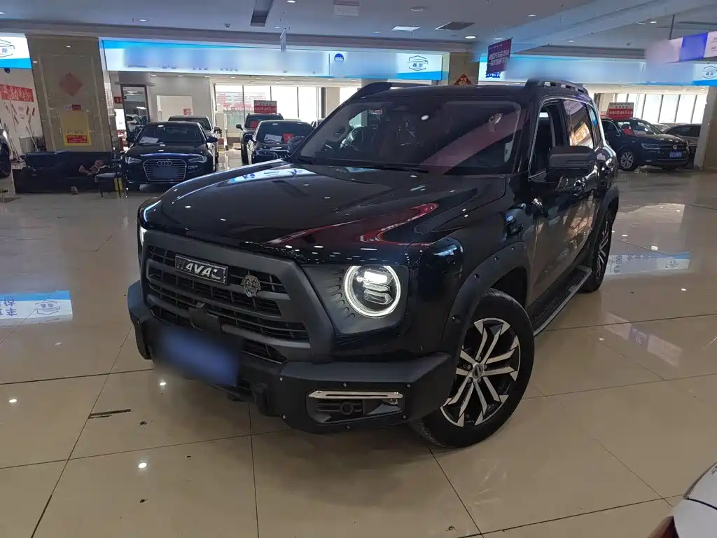 Haval Big Dog — миниатюра 2