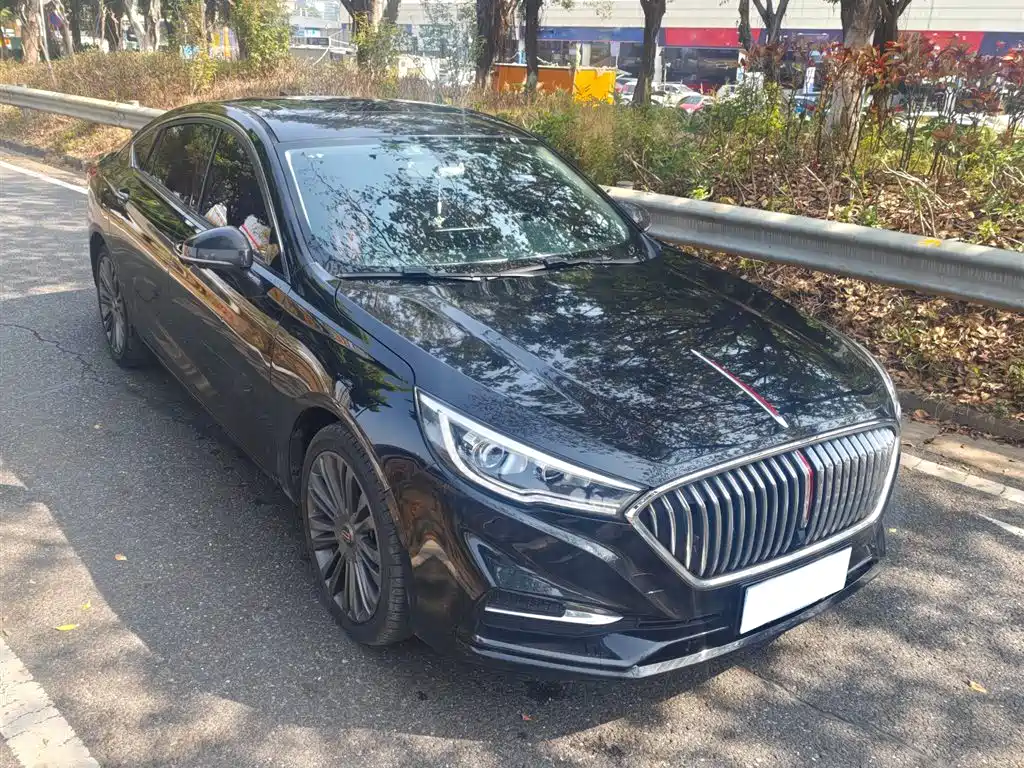 Hongqi H5 2020 1.5T DCT
