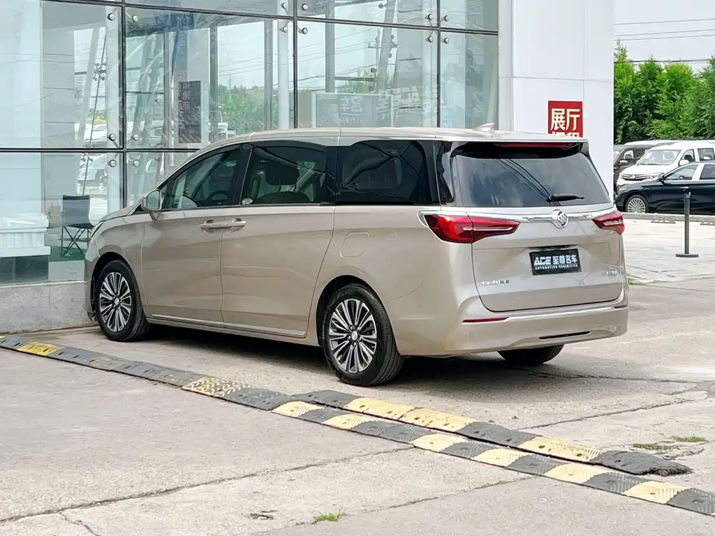 Buick GL8 — миниатюра 6