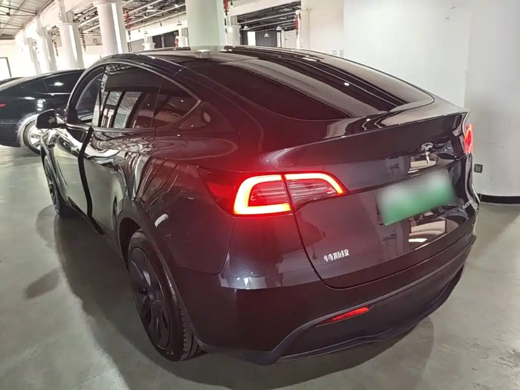 Tesla Model Y — миниатюра 5