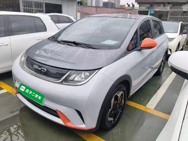 2022 BYD Dolphin